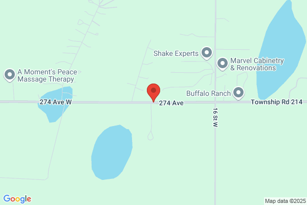 Shake Experts Inc