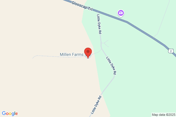 Millen Farms U-Pick Ltd