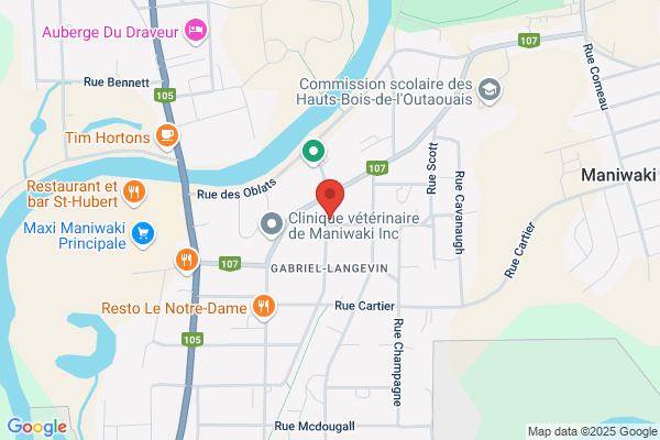Manisoft & ASM Informatique Inc