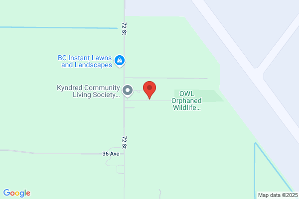 Boundary Bay Montessori House, Preschool