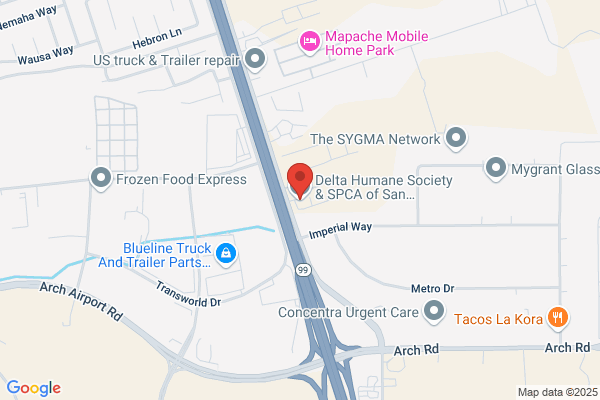 Delta Humane Society