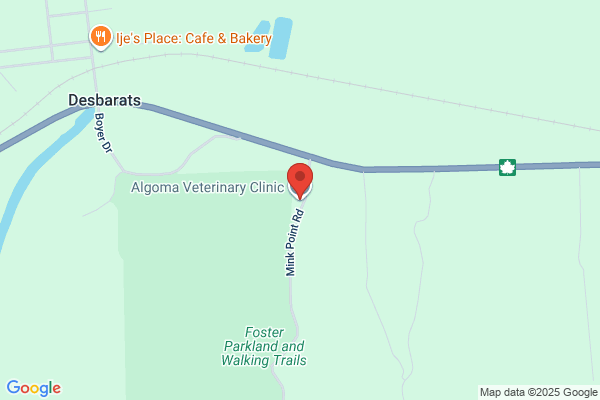 Algoma Veterinary Clinic