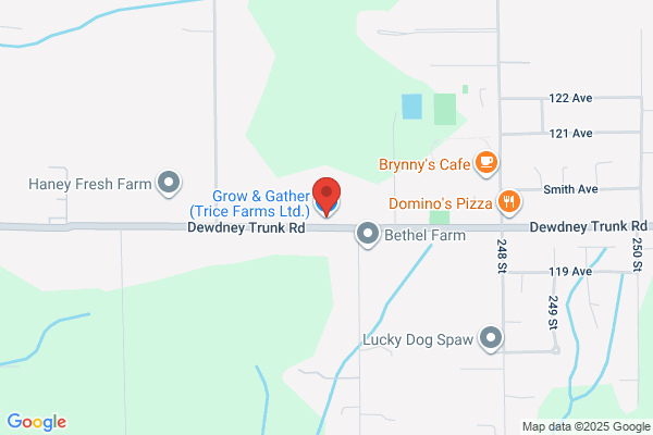 Dewdney Trunk Tree & Shrub Supply