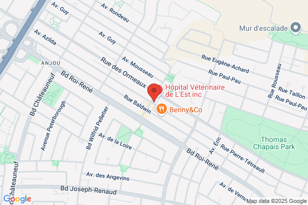 Centre Informatique Anjou