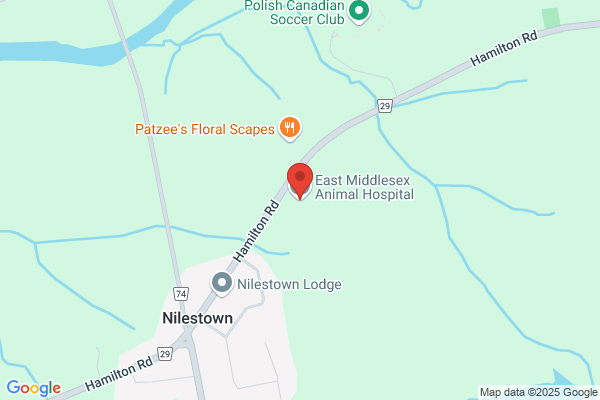 East Middlesex Animal Hospital
