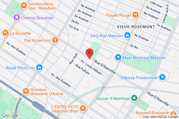 Montreal, Rosemont-La Petite-Patrie, Urban Planning and Business Development, Permits, Appointment and