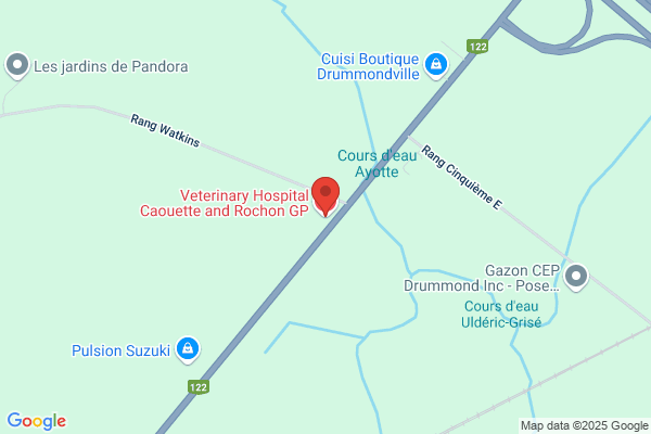 Caouette Martin Dr Veterinaire