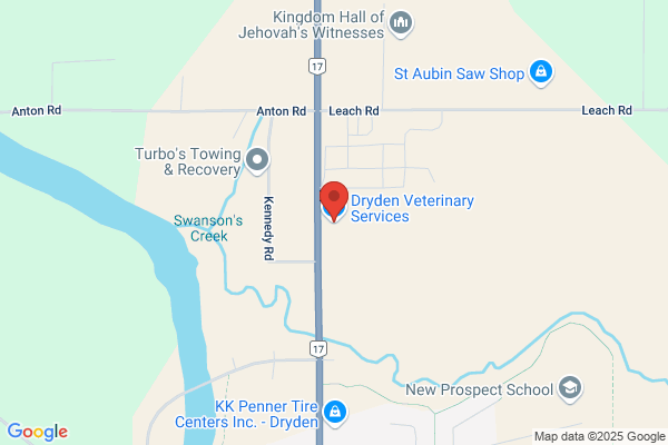 Animal Services, Dryden, Pet Control Officer