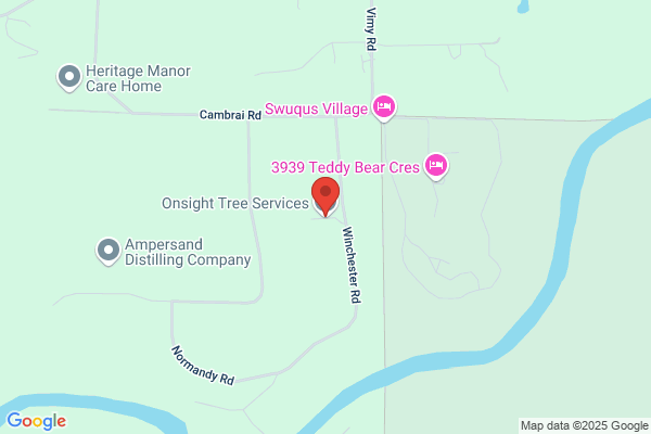 Onsight Tree Services