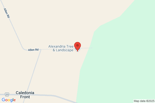 Alexandria Tree Service