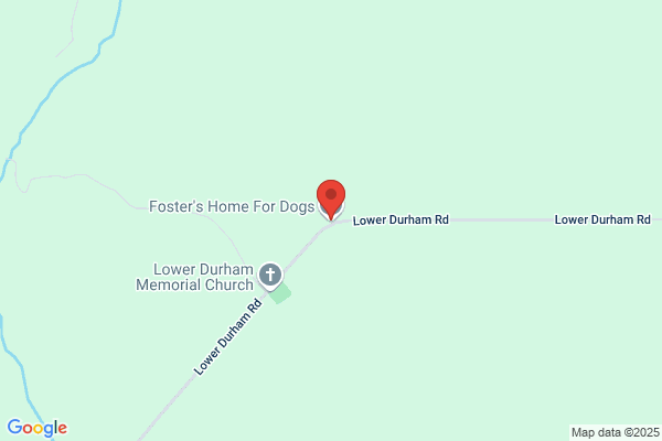 Foster's Home For Dogs