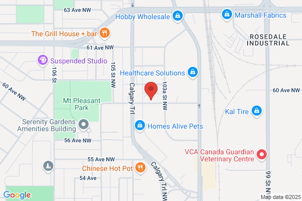 Yogi's Auto Repairs