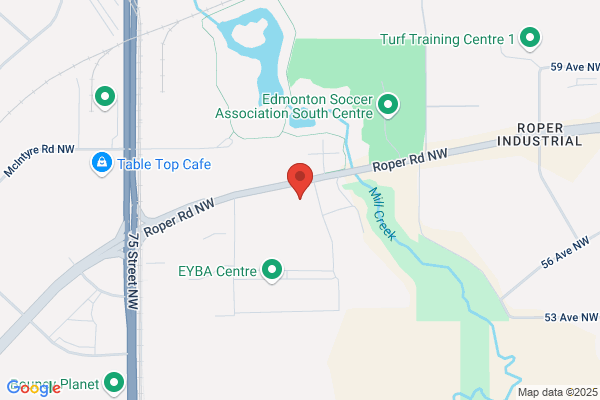 Inca Systems Inc