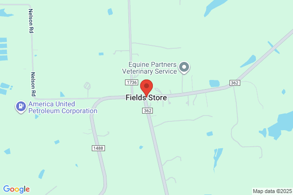 Fields Stores Ltd