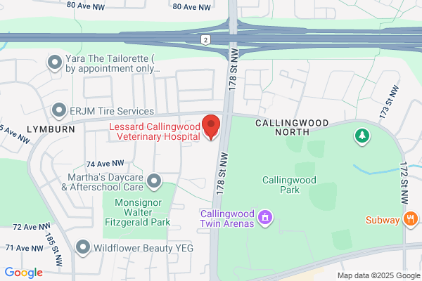 Lessard-Callingwood Veterinary Hospital, Lymburn Shopping Centre, Dr Susan Lapointe Dr Christa Olenick