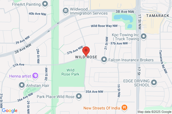 Mild To Wild