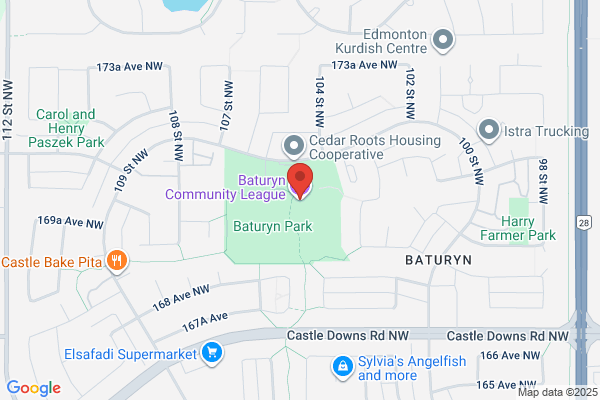 Baturyn Community League, Rink