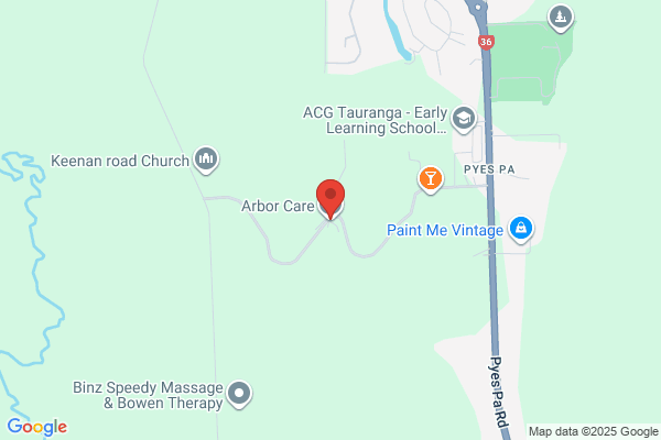 Arborcare Tree Service Ltd