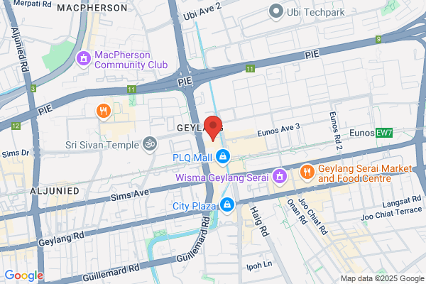 Protemps Professional Placement Services