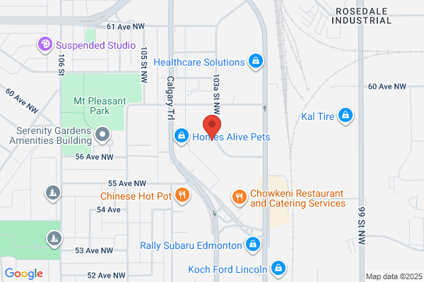 AAA Edmonton Cash For Cars