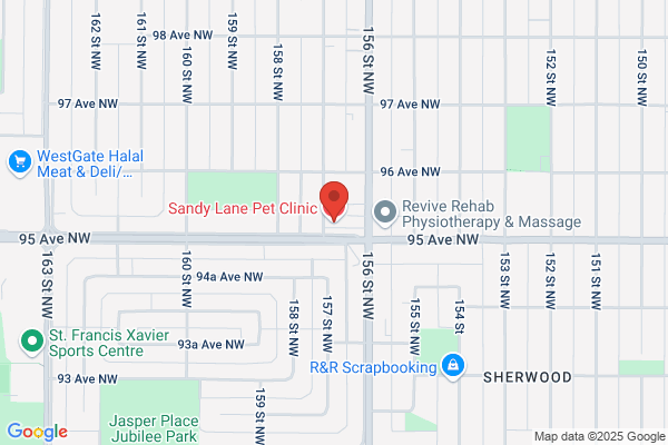 Sandy Lane Pet Clinic