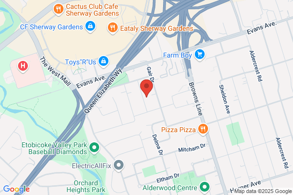 Netsurge Toronto