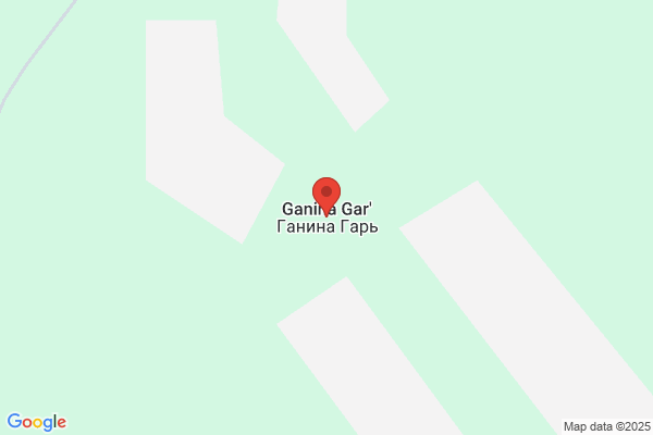Ganina S