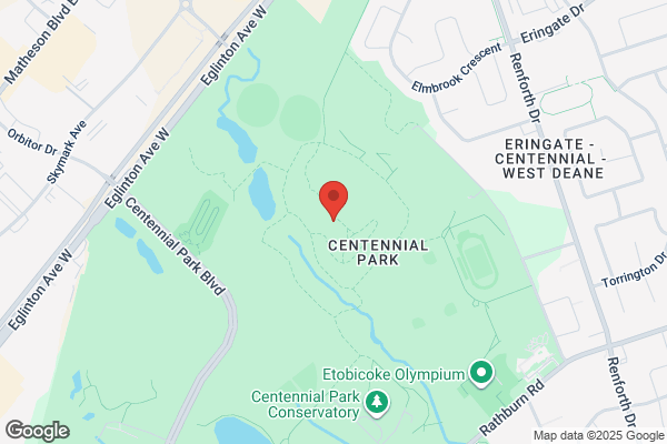 Parks and Recreation, Centennial Park (Etobicoke), Stadium