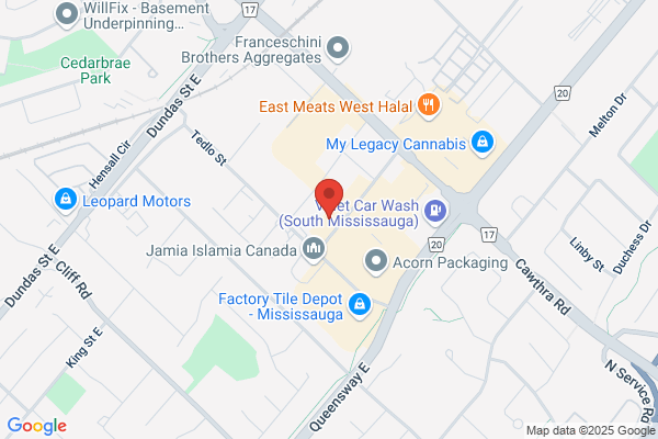 Ml Catania Co Ltd