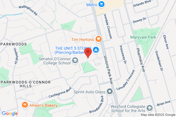 Ace Roofing & Chimney Service