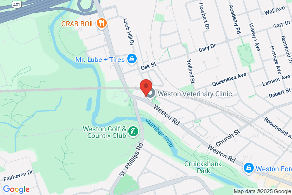 Weston Motors