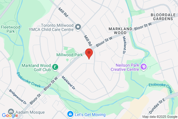 BloorMill Veterinary Hospital