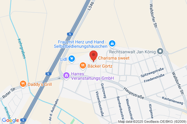 Savina's Business Services