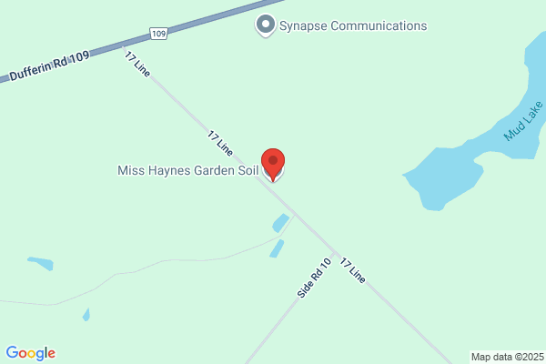 Miss Haynes Garden Soil