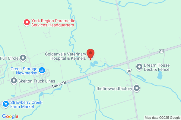 Goldenvale Veterinary Hospital & Kennels