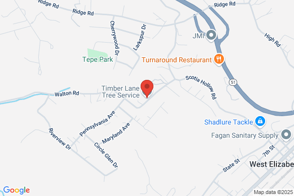 Timberlane Tree Service