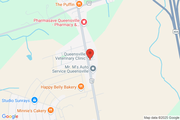 Queensville Veterinary Clinic