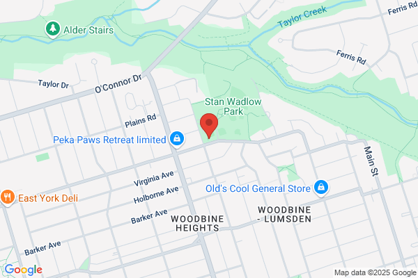 Arenas and Ice Rinks, Indoor, South District, East York Memorial