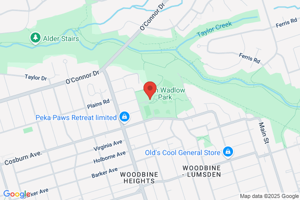 Community Centres, South District, Stan Wadlow