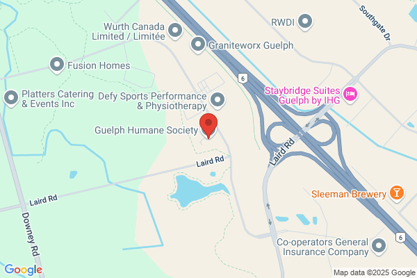 Animal Services, Guelph, Dog Control, Humane Society