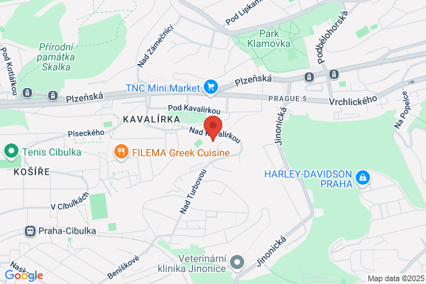 Gymnasia