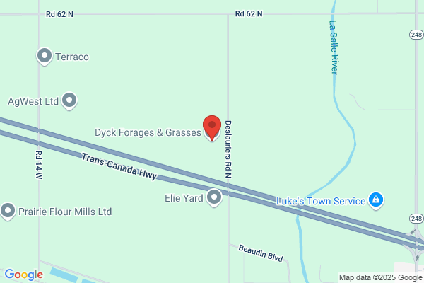 Dyck Forages & Grasses Ltd