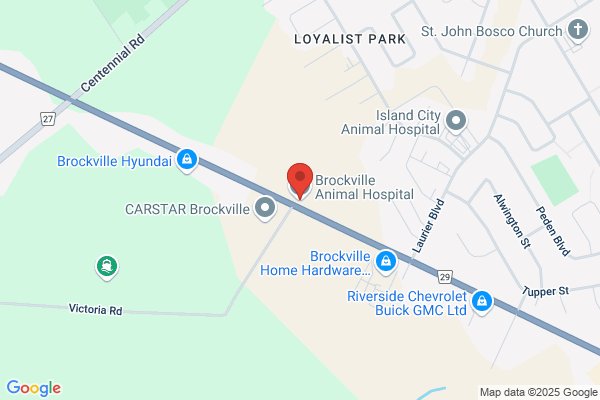 Brockville Animal Hospital