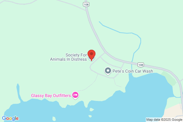 Animal Services, Elliot Lake (City of), Animal Control