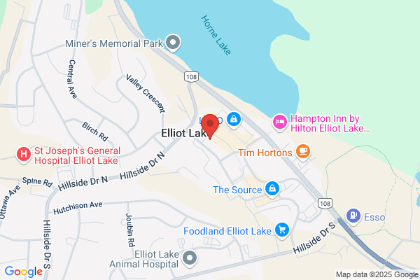Economic Development, Elliot Lake (City of), Economic Development