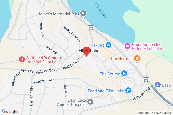 Financial Services, Elliot Lake (City of), Treasurer, Accounting