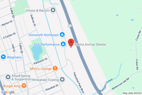 Animal Services, Woolwich, Animal Control