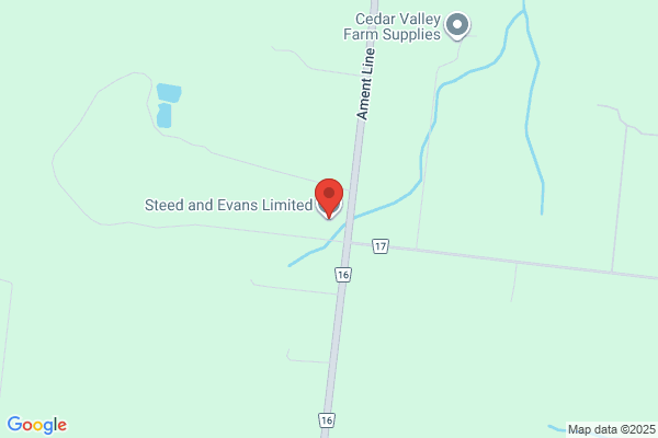 Steed and Evans Limited