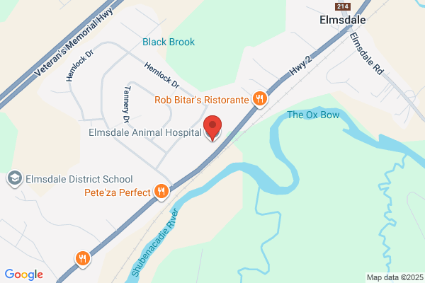 Elmsdale Animal Hospital