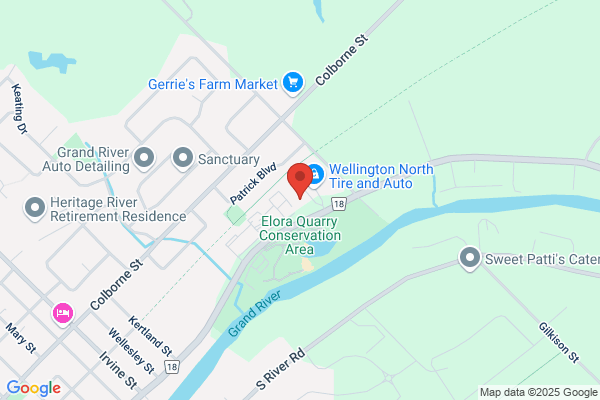 Wellington Veterinary Services